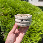 Load image into Gallery viewer, Dalmation Matcha Bowl
