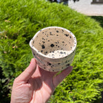 Load image into Gallery viewer, Dalmation Matcha Bowl
