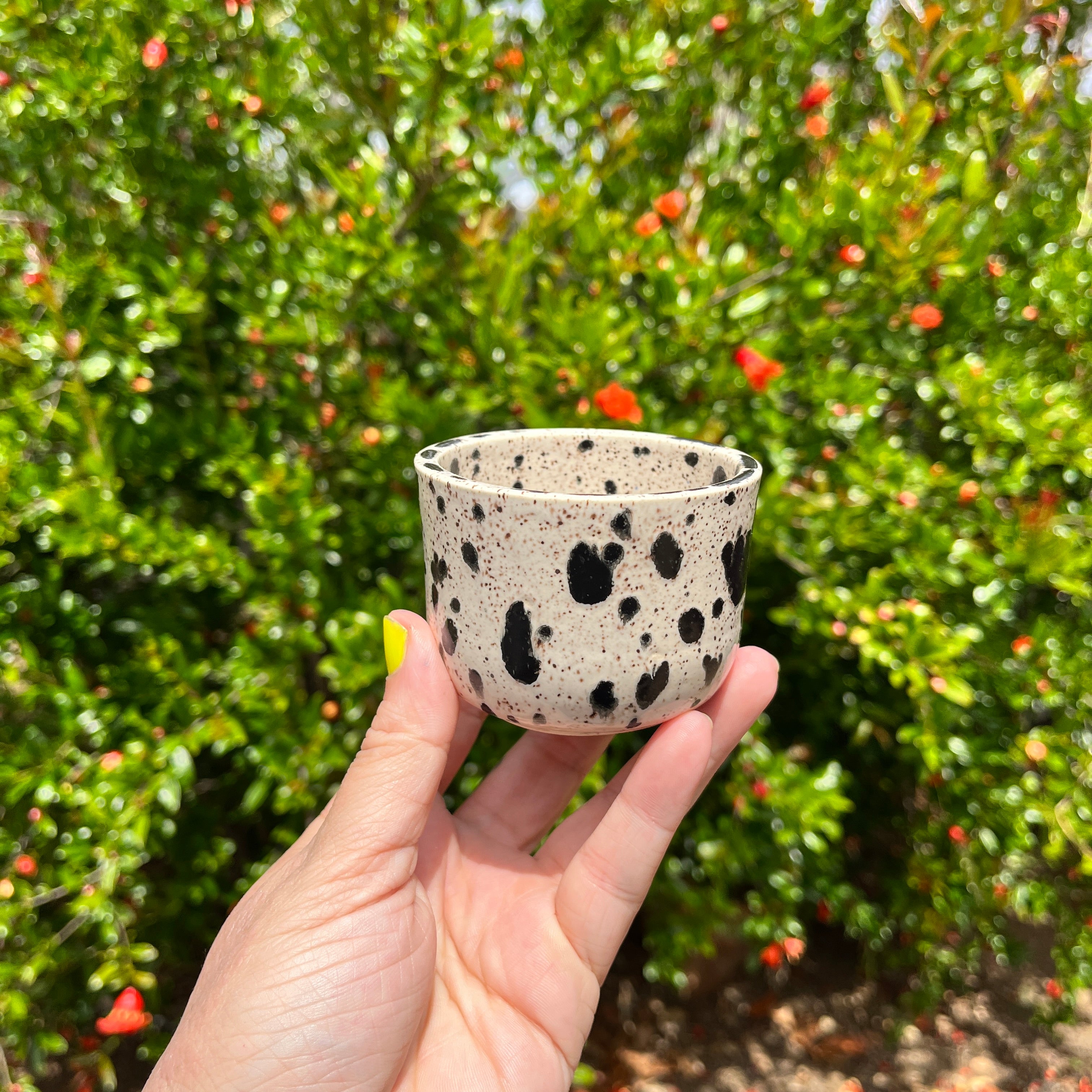 Dalmation Espresso Cup