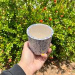 Load image into Gallery viewer, Blue Speckled Mug
