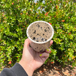 Load image into Gallery viewer, Dalmation Mug #1

