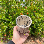 Load image into Gallery viewer, Dalmation Mug #2
