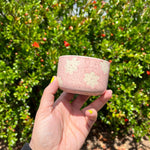 Load image into Gallery viewer, Baby Pink Flower Matcha Bowl
