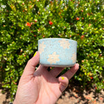Load image into Gallery viewer, Baby Blue Flower Matcha Bowl
