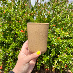 Load image into Gallery viewer, Brown Speckled Tall Cup
