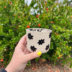 Load image into Gallery viewer, Wide Speckled Flower Cup

