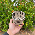 Load image into Gallery viewer, Wide Speckled Flower Cup
