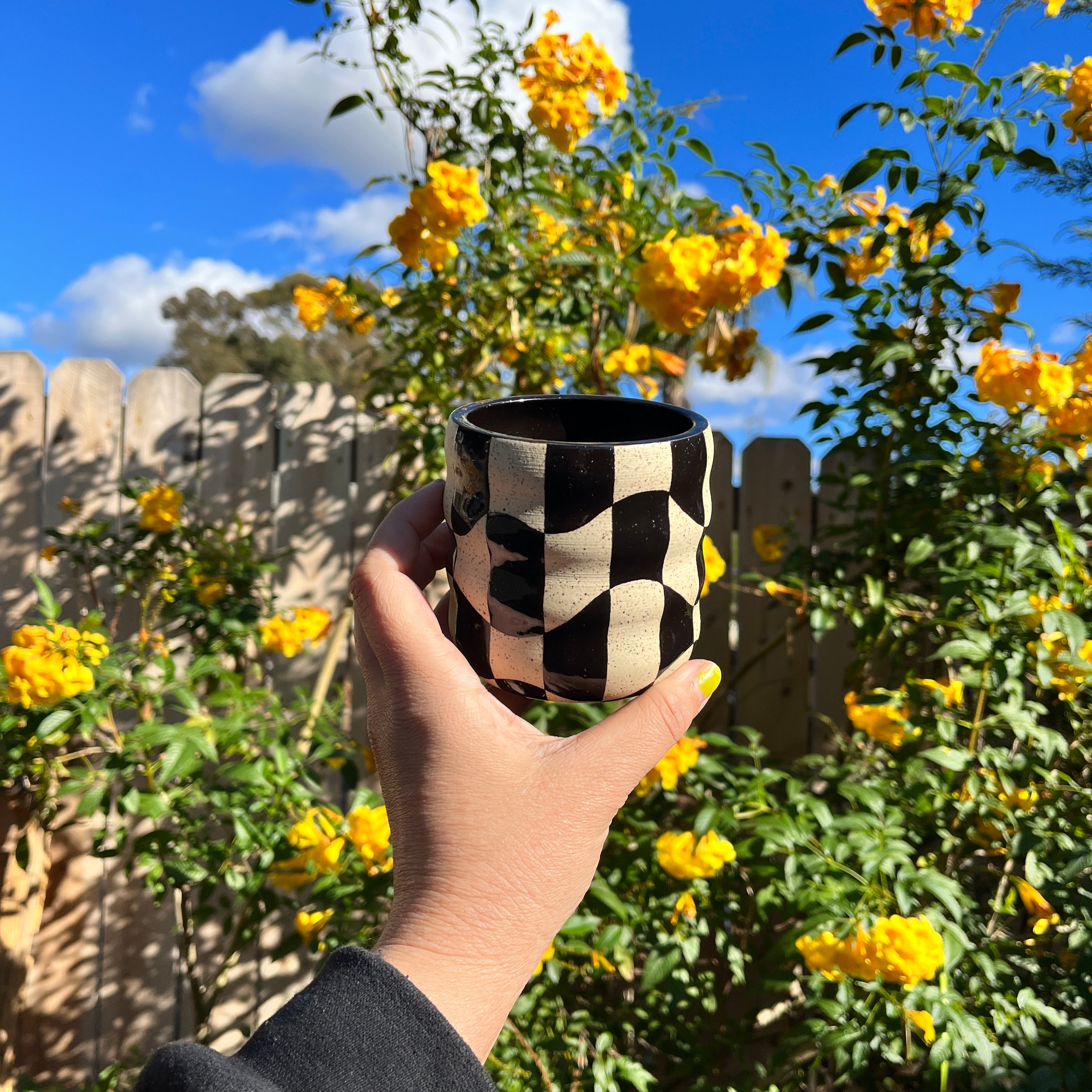 Wavy Checkered Cup