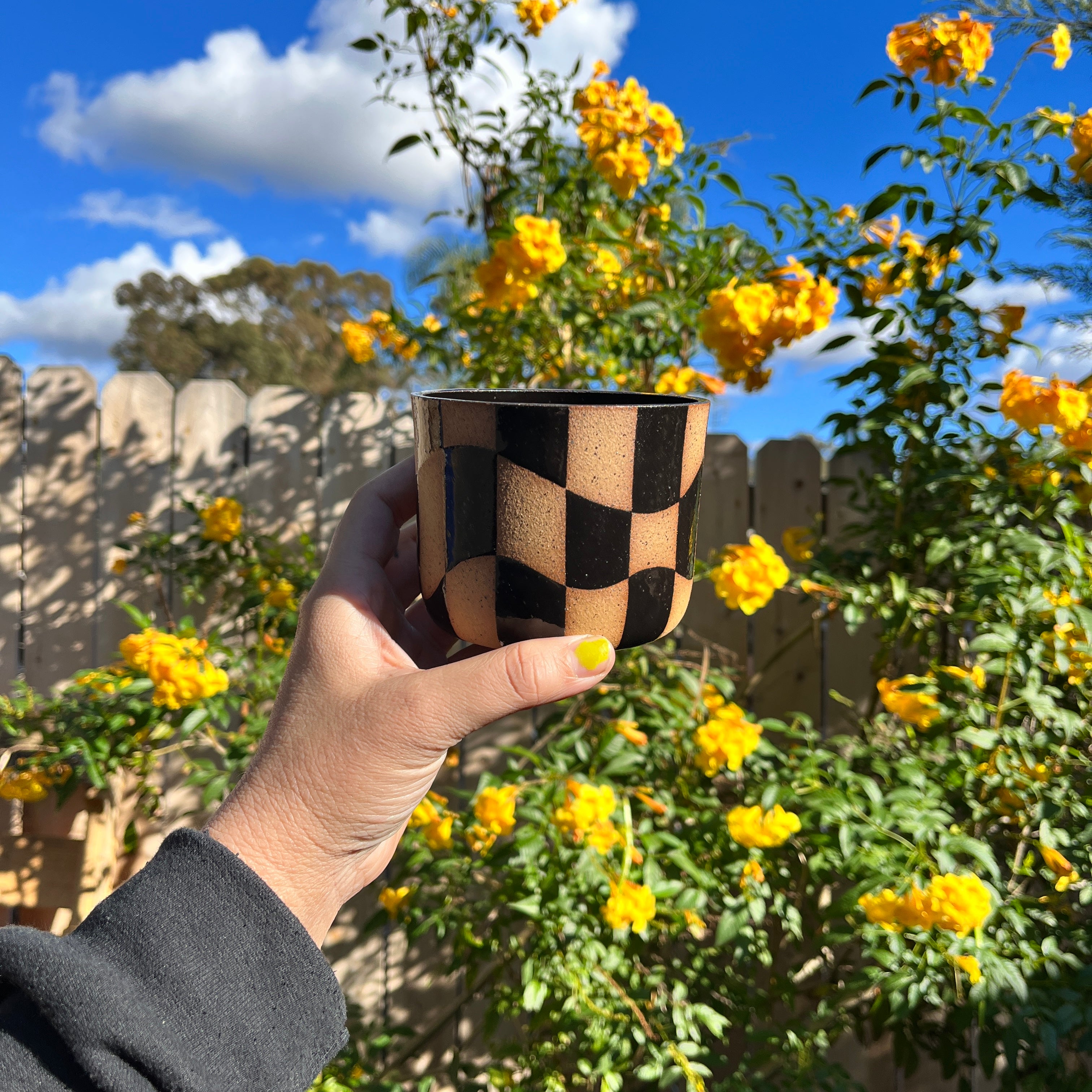 Wavy Wide Checkered Cup