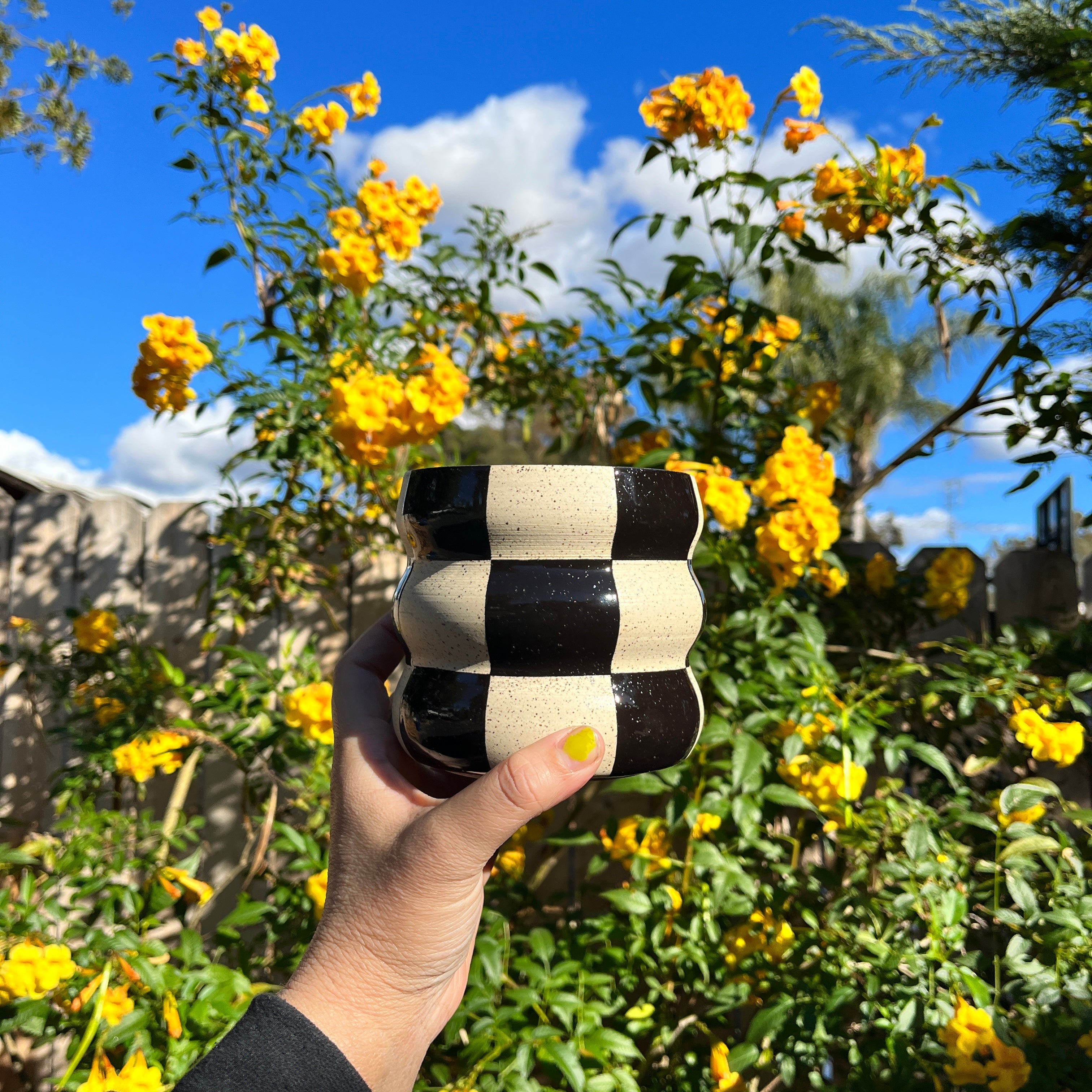 Curvy Checkered Planter