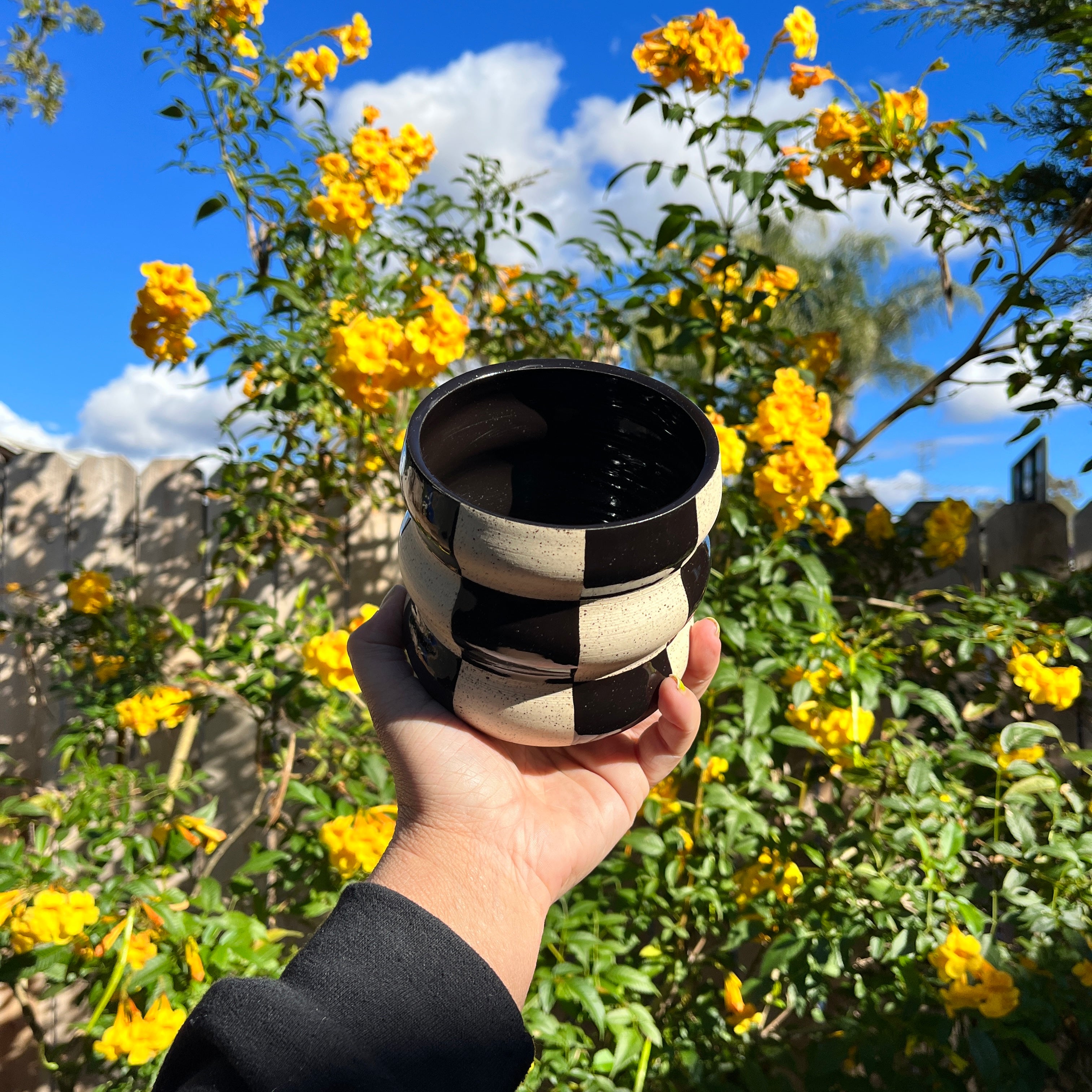 Curvy Checkered Planter